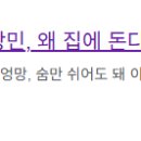 이상민 돈뭉치는 헌재 재판관들에게 줄 뇌물이었던듯요..ㄷㄷ 이미지