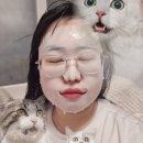 영피부사랑 | 올리브영 피부진단 + 퍼스널컬러 후기 (전포점) : 수부지 피부, 봄 메이크업🌸