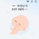 지엔산후조리원 | 임신 32주 33주차 배크기 증상 평택지엔산후조리원 산전마사지 후기