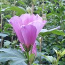 김진의원 이미지