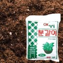 삼원몰 이미지