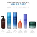 피누스스토어대전남산