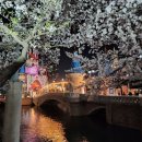 (주)세우 | 잠실 ㅣ 롯데월드 메이플 아일랜드 평일 방문 후기, 굿즈 (feat. 주벗모자 이뿌게 쓰기)