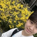 제이엠티생선구이 이미지