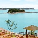 위드해지개 이미지