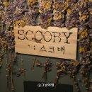 울산 삼산 칵테일바 스쿠비 방문 후기｜늦게까지 여는 분위기 좋은 술집