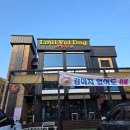 루이비독 이미지