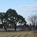 어단2리 이미지