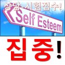 상남동275 이미지