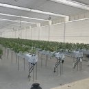 스마트2농장 이미지