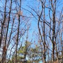 온누리교육관 앞 이미지