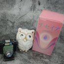 챙기다: 몸이 보내는 신호 이미지