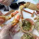 속초대게마을 | 속초터미널맛집 속초대게나라홍게마을 수율좋은 속초대게맛집 대게코스 후기