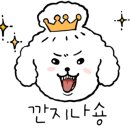 조아루 이미지