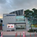 경산국민체육센터 | 🏊경산에서 수영 배우기 👉 국민체육센터 이용 후기 + 수강료 정보