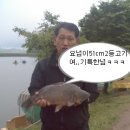 비들지낚시터 이미지