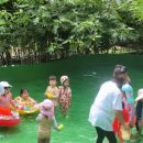 딸기어린이집 이미지