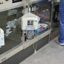 실이 그루밍 이미지