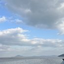 굴안 | 장흥 맛집 경화네 굴구이ㅣ굴 싫어해도 인정한곳 내돈내산 솔직후기