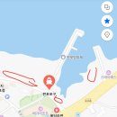 월령상점 | 제주 스노쿨링 판포포구/월령포구/월령해안 비교 후기