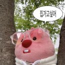 민정농장2 이미지
