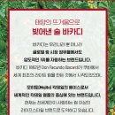 바카디×폼페트 홈텐딩 패키지 구매후기
