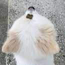 에이블팜 이미지