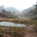 호영농장 이미지