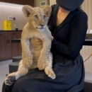 대우성식당 이미지