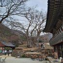 유달산우체국 주차장 | 2박 3일(2)
