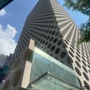 하이브약국 | [공지] [플레저성형외과] 확실히 효과 본 후 올리게 된 루팡주사 | 1회차 후기 | 팔뚝전체 | 지방분해주사