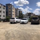 부원복어 이미지