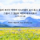 새일교회 난구절특강 | ﻿67. 매를 순히 맞고 순종하는 일에 대하여 (미6:8) 이미지