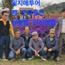 일지매투어 이미지