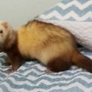 송현1차아파트 이미지