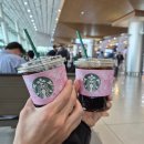 바닷가하얀집 | [제주도 2박3일] 짧고 굵게 제주도 즐기기✈️