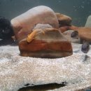 한자반(중급) 이미지