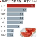사람과일 이미지