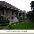 앨리스인원더랜드 이미지