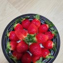 민석농장 이미지