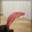 더이뻐뷰티 이미지