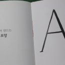 바데스 이미지