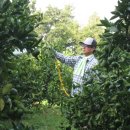 성균농장 이미지