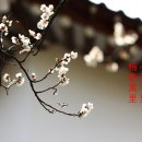 심향 이미지