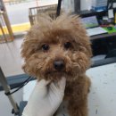 주안5동 행정복지센터 이미지