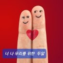 와이존 세비클럽 이미지