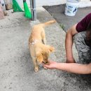 우림슈퍼 이미지