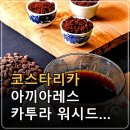 코스타리카 아끼아레스 카투라 워시드 커피원두 총정리: 농장·품종·가공방식·향미 이미지