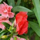 서희농장 이미지