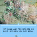 청호낚시터
